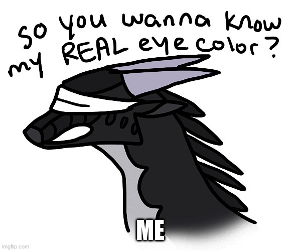 So you wanna know my REAL eye color? | ME | image tagged in so you wanna know my real eye color | made w/ Imgflip meme maker