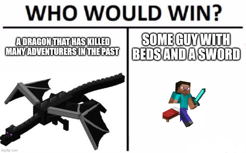 WHO WOULD WIN? | A DRAGON THAT HAS KILLED MANY ADVENTURERS IN THE PAST; SOME GUY WITH BEDS AND A SWORD | image tagged in minecraft | made w/ Imgflip meme maker