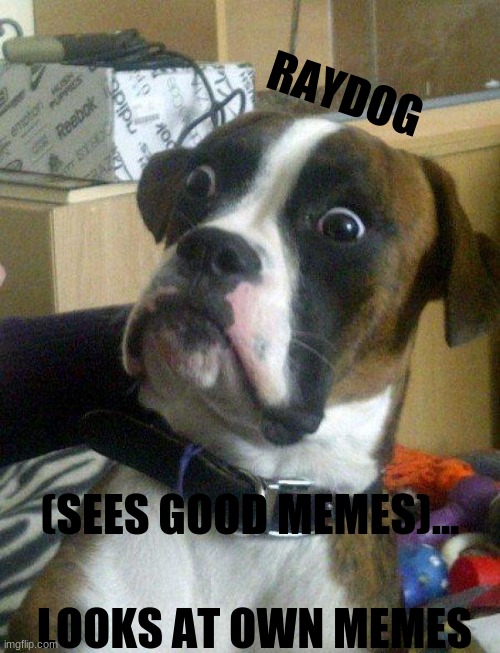 raydog when he views his superior memes | RAYDOG; (SEES GOOD MEMES)... LOOKS AT OWN MEMES | image tagged in blankie the shocked dog | made w/ Imgflip meme maker