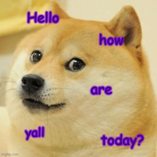 Hai | Hello; how; are; yall; today? | image tagged in memes,doge | made w/ Imgflip meme maker