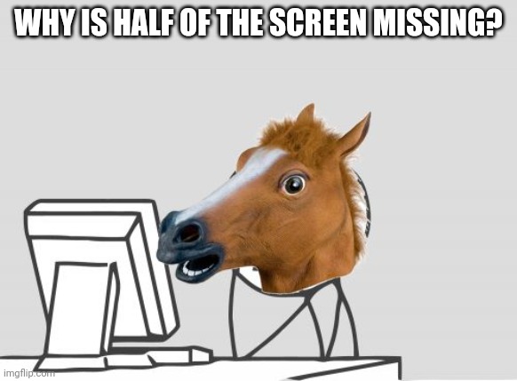 Computer Horse Meme | WHY IS HALF OF THE SCREEN MISSING? | image tagged in memes,computer horse | made w/ Imgflip meme maker