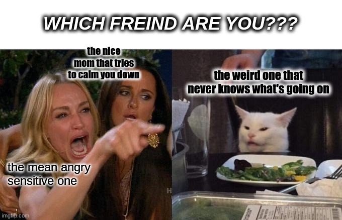 which friend are you? | WHICH FREIND ARE YOU??? the nice mom that tries to calm you down; the weird one that never knows what's going on; the mean angry sensitive one | image tagged in memes,woman yelling at cat | made w/ Imgflip meme maker