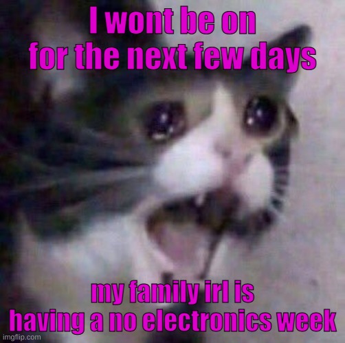 Bye ;-; ill be back soon | I wont be on for the next few days; my family irl is having a no electronics week | image tagged in sad cat | made w/ Imgflip meme maker