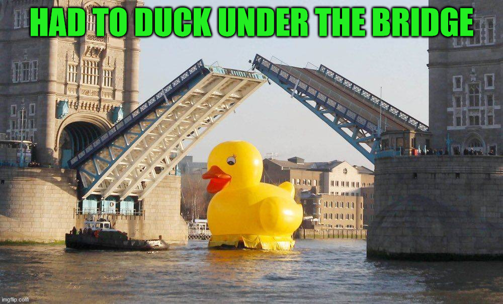Bad pun | HAD TO DUCK UNDER THE BRIDGE | image tagged in duck | made w/ Imgflip meme maker