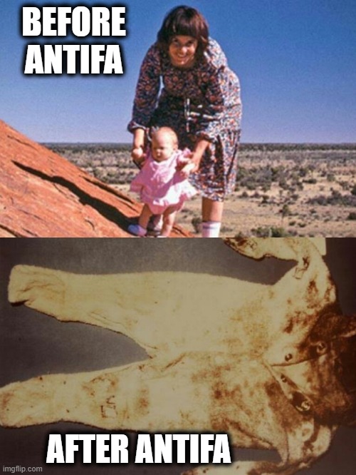 ANITFA Ate It | BEFORE ANTIFA; AFTER ANTIFA | image tagged in stole my baby,antifa,trump,proud boys,terrorists | made w/ Imgflip meme maker