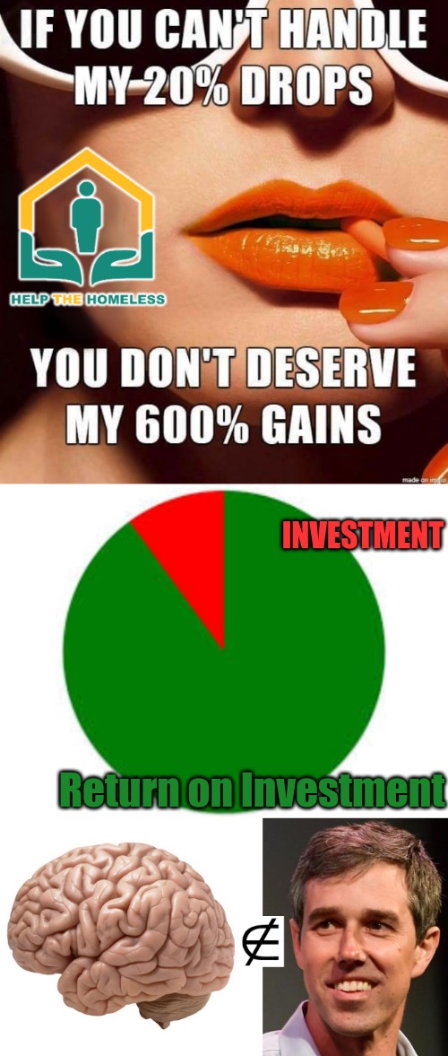 Big gains Vs common sense | INVESTMENT; Return on Investment | image tagged in pie chart,no brainer | made w/ Imgflip meme maker