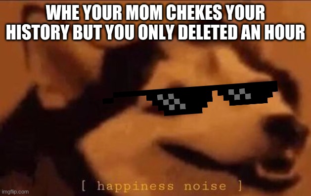 idk | WHE YOUR MOM CHEKES YOUR HISTORY BUT YOU ONLY DELETED AN HOUR | image tagged in happiness noise | made w/ Imgflip meme maker