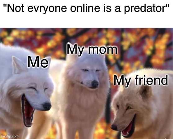 srsly tho, not everyone is lol | "Not evryone online is a predator"; My mom; Me; My friend | image tagged in internet,moms,funny,meme,memes | made w/ Imgflip meme maker