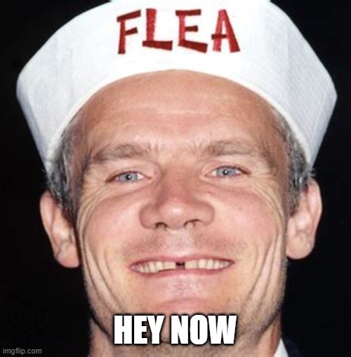 Flea | HEY NOW | image tagged in flea | made w/ Imgflip meme maker