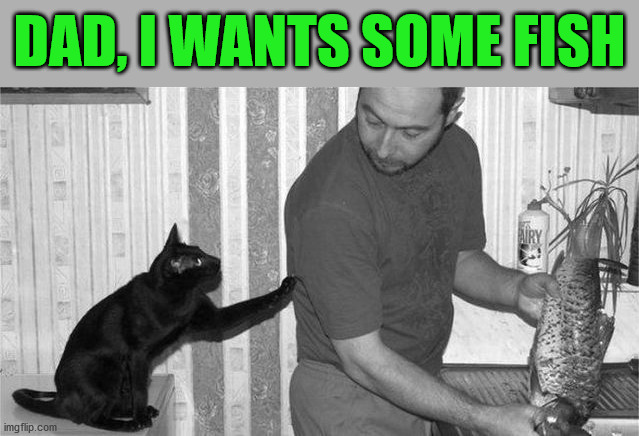 DAD, I WANTS SOME FISH | image tagged in cats | made w/ Imgflip meme maker