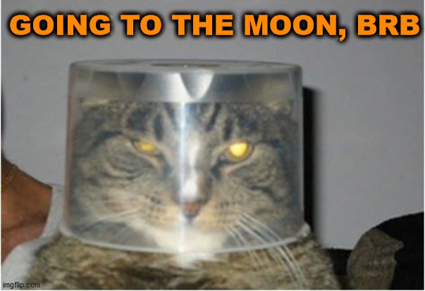 GOING TO THE MOON, BRB | image tagged in cats | made w/ Imgflip meme maker