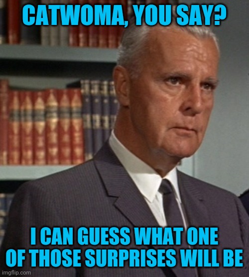 Commissioner Gordon | CATWOMA, YOU SAY? I CAN GUESS WHAT ONE OF THOSE SURPRISES WILL BE | image tagged in commissioner gordon | made w/ Imgflip meme maker