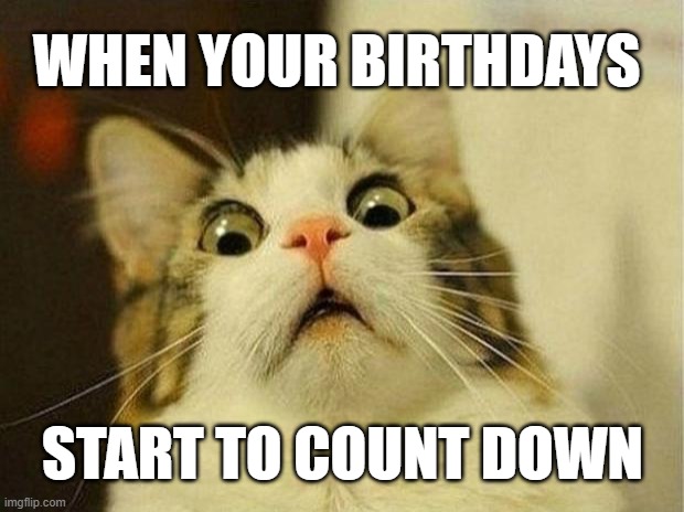 Scared Cat Meme | WHEN YOUR BIRTHDAYS START TO COUNT DOWN | image tagged in memes,scared cat | made w/ Imgflip meme maker