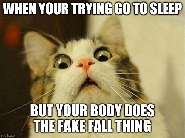 Scared Cat Meme | WHEN YOUR TRYING GO TO SLEEP; BUT YOUR BODY DOES THE FAKE FALL THING | image tagged in memes,scared cat | made w/ Imgflip meme maker