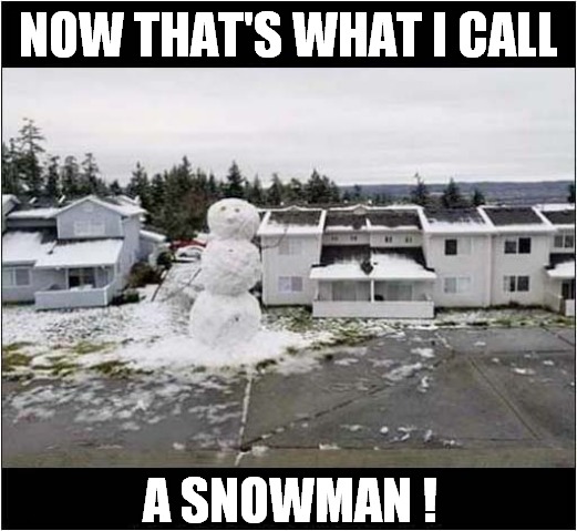 Impressive Snowman ! | NOW THAT'S WHAT I CALL; A SNOWMAN ! | image tagged in fun,snowman,perspective | made w/ Imgflip meme maker