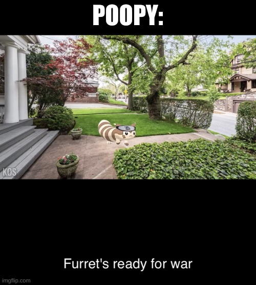 Furrets ready for war | POOPY: | image tagged in furrets ready for war | made w/ Imgflip meme maker
