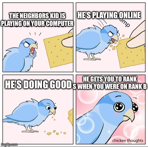 Neighbors kid helped | HE’S PLAYING ONLINE; THE NEIGHBORS KID IS PLAYING ON YOUR COMPUTER; HE GETS YOU TO RANK S WHEN YOU WERE ON RANK B; HE’S DOING GOOD | image tagged in bird cracker | made w/ Imgflip meme maker
