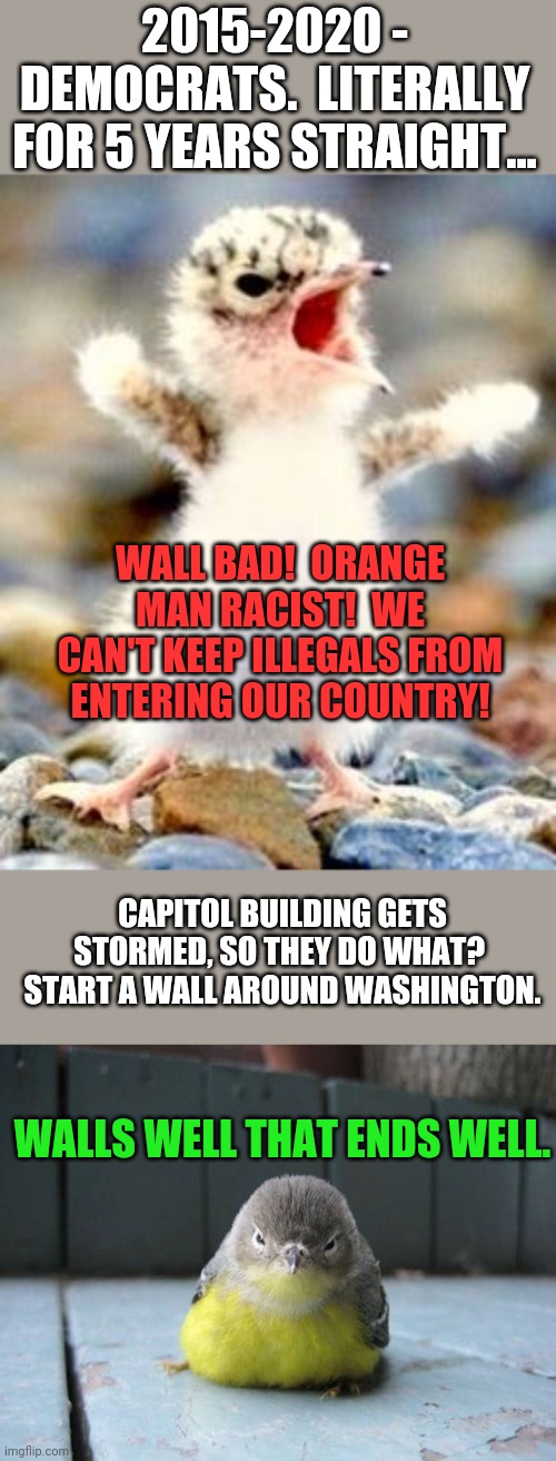 Hypocracy at its finest...again. | 2015-2020 - DEMOCRATS.  LITERALLY FOR 5 YEARS STRAIGHT... WALL BAD!  ORANGE MAN RACIST!  WE CAN'T KEEP ILLEGALS FROM ENTERING OUR COUNTRY! CAPITOL BUILDING GETS STORMED, SO THEY DO WHAT?  START A WALL AROUND WASHINGTON. WALLS WELL THAT ENDS WELL. | image tagged in walls,libtards | made w/ Imgflip meme maker