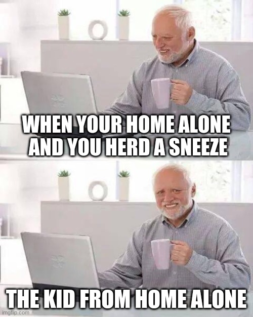 Hide the Pain Harold Meme | WHEN YOUR HOME ALONE  AND YOU HERD A SNEEZE; THE KID FROM HOME ALONE | image tagged in memes,hide the pain harold | made w/ Imgflip meme maker