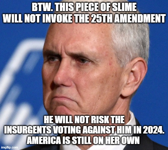 Mike Pence 25th Amendment | BTW. THIS PIECE OF SLIME WILL NOT INVOKE THE 25TH AMENDMENT; HE WILL NOT RISK THE INSURGENTS VOTING AGAINST HIM IN 2024.
AMERICA IS STILL ON HER OWN | image tagged in mike pence,25th amendment,donald trump,riots,insurgents,insurrection | made w/ Imgflip meme maker
