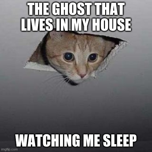 Ceiling Cat Meme | THE GHOST THAT LIVES IN MY HOUSE; WATCHING ME SLEEP | image tagged in memes,ceiling cat | made w/ Imgflip meme maker