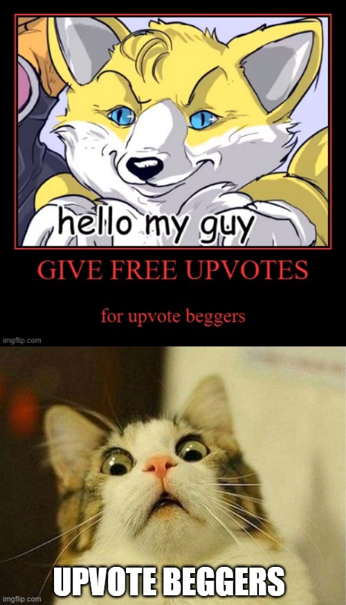 I GIVE UPVOTES | UPVOTE BEGGERS | image tagged in memes,scared cat | made w/ Imgflip meme maker
