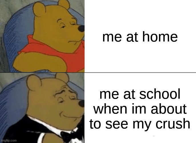 Tuxedo Winnie The Pooh | me at home; me at school when im about to see my crush | image tagged in memes,tuxedo winnie the pooh | made w/ Imgflip meme maker