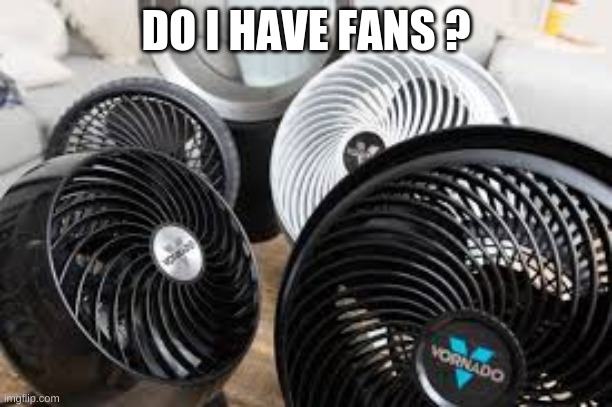 only fans ? | DO I HAVE FANS ? | image tagged in fans | made w/ Imgflip meme maker