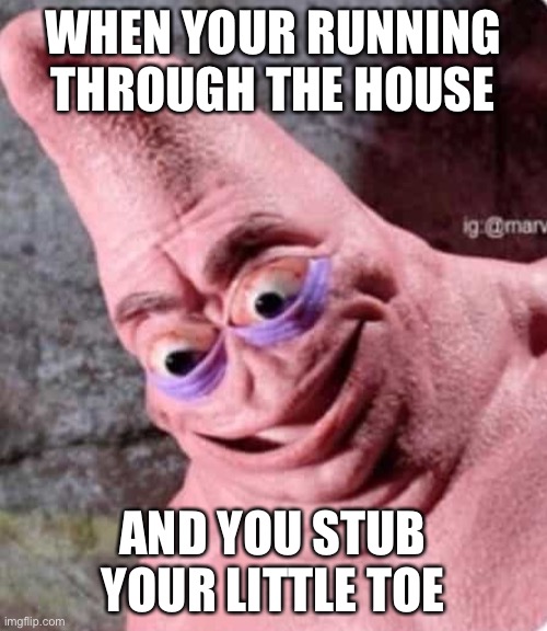 WHEN YOUR RUNNING THROUGH THE HOUSE; AND YOU STUB YOUR LITTLE TOE | image tagged in patrick | made w/ Imgflip meme maker