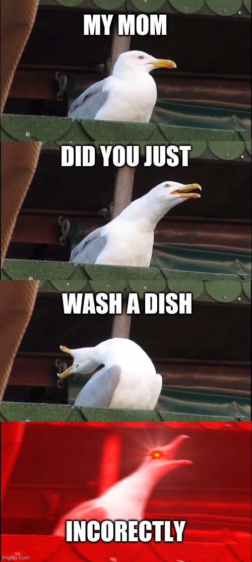 Inhaling Seagull | MY MOM; DID YOU JUST; WASH A DISH; INCORECTLY | image tagged in memes,inhaling seagull | made w/ Imgflip meme maker