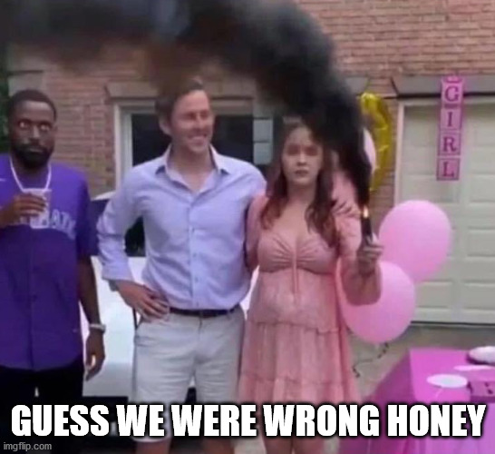 Black gender reveal | GUESS WE WERE WRONG HONEY | image tagged in black gender reveal | made w/ Imgflip meme maker