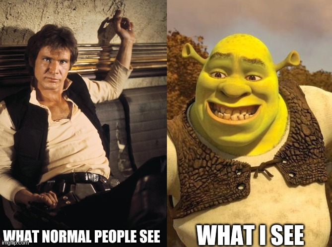 they do wear the same clothes tho |  WHAT I SEE; WHAT NORMAL PEOPLE SEE | image tagged in memes,han solo,smiling shrek | made w/ Imgflip meme maker