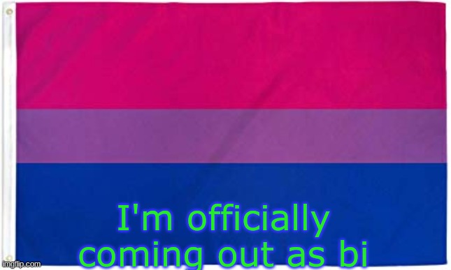 Bisexual Flag | I'm officially coming out as bi | image tagged in bisexual flag | made w/ Imgflip meme maker