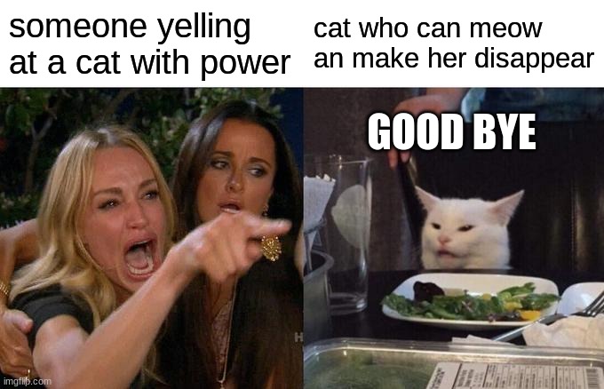 Woman Yelling At Cat | someone yelling at a cat with power; cat who can meow an make her disappear; GOOD BYE | image tagged in memes,woman yelling at cat | made w/ Imgflip meme maker