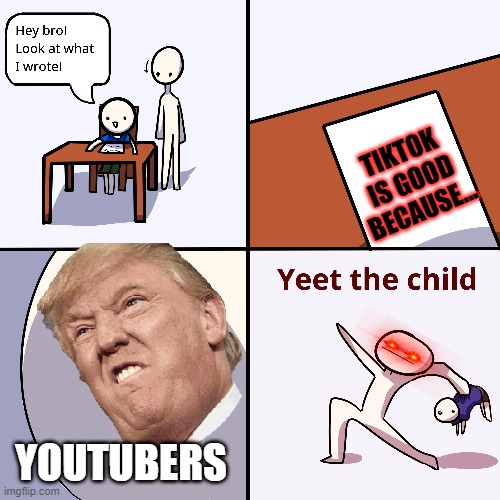 Yeet the child | TIKTOK IS GOOD BECAUSE... YOUTUBERS | image tagged in yeet the child | made w/ Imgflip meme maker