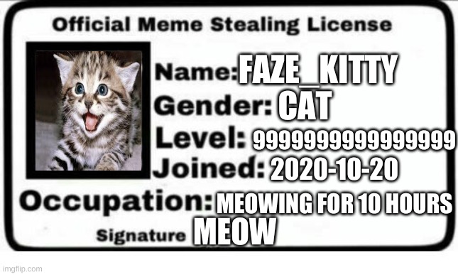 i got my license | FAZE_KITTY; CAT; 9999999999999999; 2020-10-20; MEOWING FOR 10 HOURS; MEOW | image tagged in official meme stealing license | made w/ Imgflip meme maker