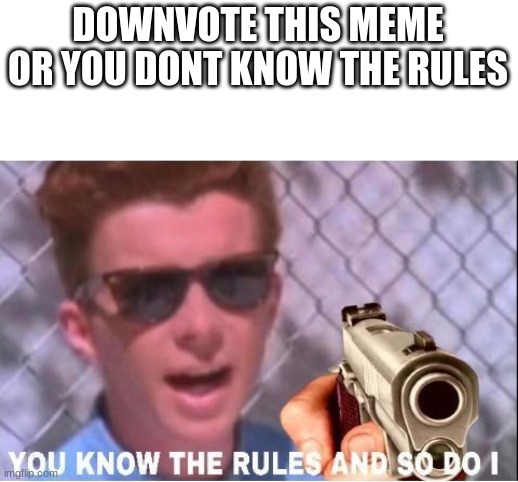 e | DOWNVOTE THIS MEME OR YOU DONT KNOW THE RULES | image tagged in you know the rules and so do i,e | made w/ Imgflip meme maker