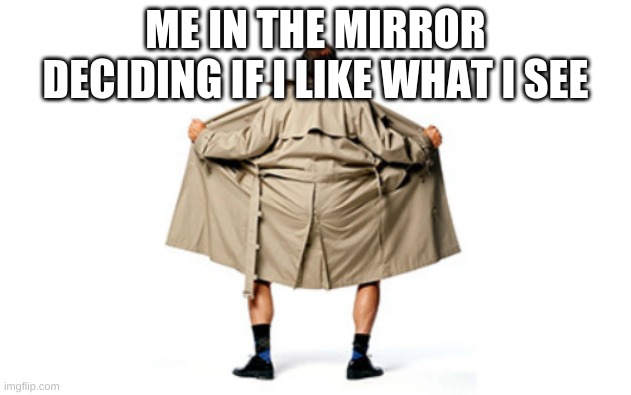 Expose Yourself | ME IN THE MIRROR DECIDING IF I LIKE WHAT I SEE | image tagged in expose yourself | made w/ Imgflip meme maker