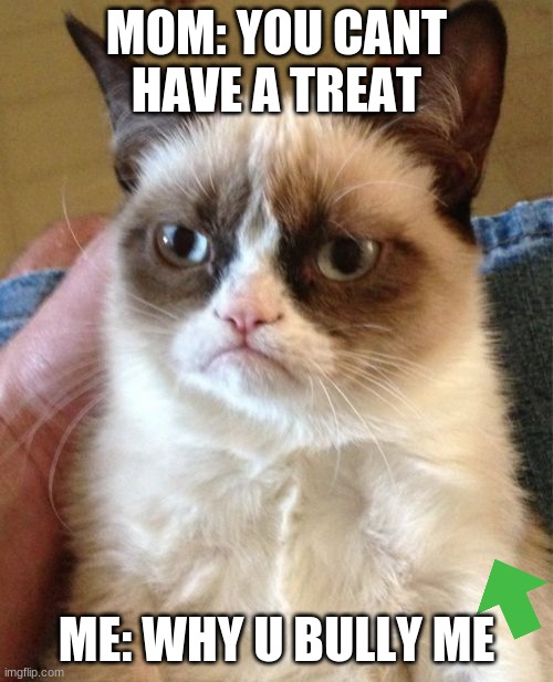 Grumpy Cat | MOM: YOU CANT HAVE A TREAT; ME: WHY U BULLY ME | image tagged in memes,grumpy cat | made w/ Imgflip meme maker