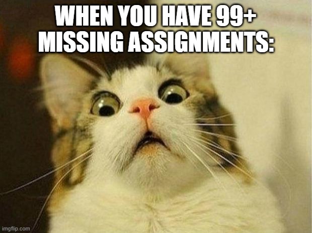 I have 12 so far,,,,, | WHEN YOU HAVE 99+ MISSING ASSIGNMENTS: | image tagged in memes,scared cat | made w/ Imgflip meme maker