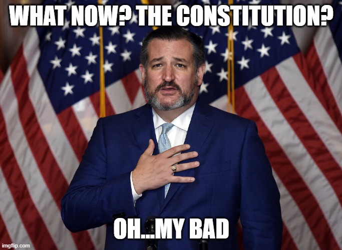 Cruz My Bad | WHAT NOW? THE CONSTITUTION? OH...MY BAD | image tagged in ted cruz | made w/ Imgflip meme maker