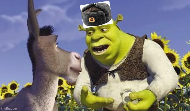 SHREK & ONIONS | image tagged in shrek onions | made w/ Imgflip meme maker