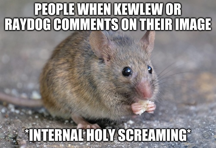 Mouse eating food | PEOPLE WHEN KEWLEW OR RAYDOG COMMENTS ON THEIR IMAGE; *INTERNAL HOLY SCREAMING* | image tagged in mouse eating food | made w/ Imgflip meme maker