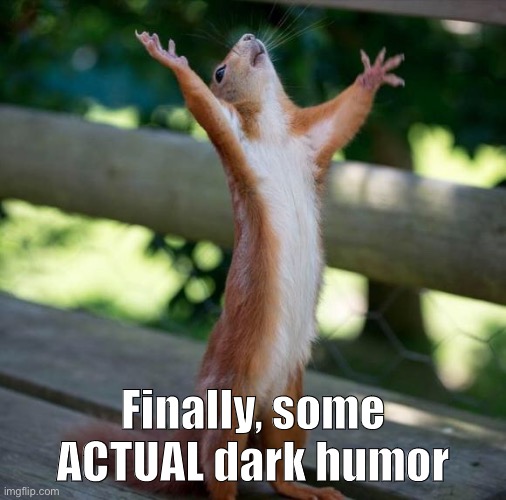 finally | Finally, some ACTUAL dark humor | image tagged in finally | made w/ Imgflip meme maker