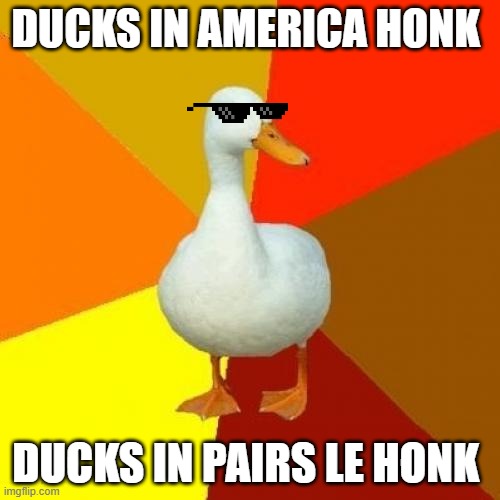 honk honk am goose | DUCKS IN AMERICA HONK; DUCKS IN PAIRS LE HONK | image tagged in memes,tech impaired duck | made w/ Imgflip meme maker