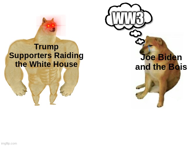 Buff Doge vs. Cheems Meme | WW3; Trump Supporters Raiding the White House; Joe Biden and the Bois | image tagged in memes,buff doge vs cheems | made w/ Imgflip meme maker