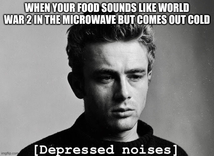 Meh | WHEN YOUR FOOD SOUNDS LIKE WORLD WAR 2 IN THE MICROWAVE BUT COMES OUT COLD | image tagged in meh | made w/ Imgflip meme maker