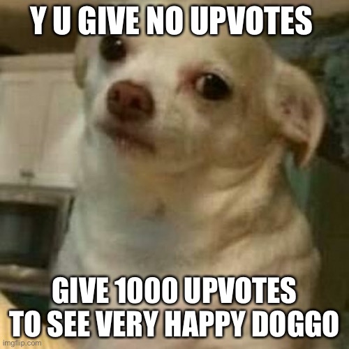 Disappointed Doggo | Y U GIVE NO UPVOTES; GIVE 1000 UPVOTES TO SEE VERY HAPPY DOGGO | image tagged in disappointed doggo | made w/ Imgflip meme maker