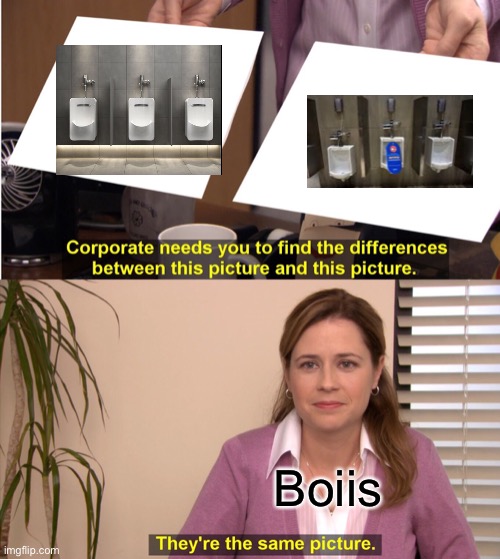 They're The Same Picture Meme | Boiis | image tagged in memes,they're the same picture | made w/ Imgflip meme maker