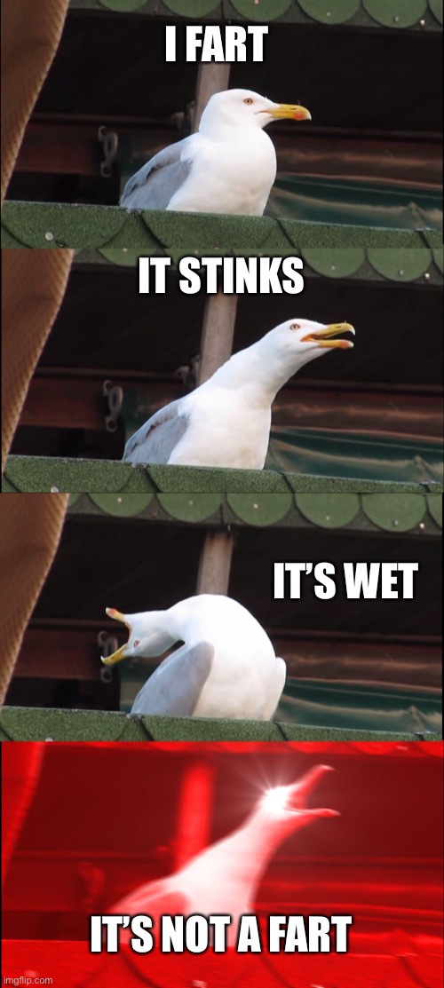 Inhaling Seagull | I FART; IT STINKS; IT’S WET; IT’S NOT A FART | image tagged in memes,inhaling seagull | made w/ Imgflip meme maker